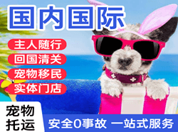 潮汕航空托运国际宠物托运 【国